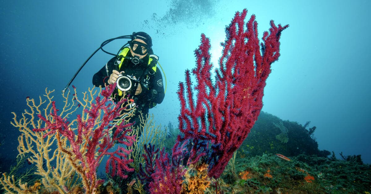 France's Deep-6000 Floats Push Argo's Ocean Sensor Fleet Toward Full Abyssal Coverage by 2028